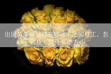 出国劳务网站都有哪些（出国打工，怎么找？找什么地方）