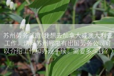 苏州劳务派遣(我想去加拿大或澳大利亚工作。请问苏州哪里有出国劳务公司可以介绍工作和办理手续。需要多少钱？)