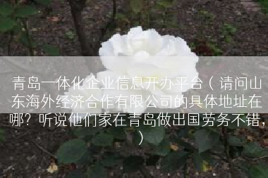青岛一体化企业信息开办平台（请问山东海外经济合作有限公司的具体地址在哪？听说他们家在青岛做出国劳务不错，）