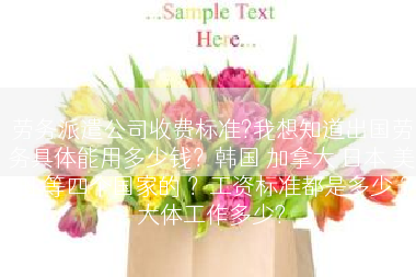 劳务派遣公司收费标准?我想知道出国劳务具体能用多少钱？韩国 加拿大 日本 美国 等四个国家的 ？工资标准都是多少 ？大体工作多少?