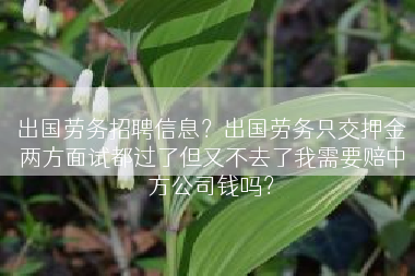 出国劳务招聘信息？出国劳务只交押金两方面试都过了但又不去了我需要赔中方公司钱吗？