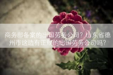 商务部备案的出国劳务公司？山东省德州市这边有正规的出国劳务公司吗？
