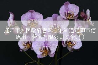 辽阳市人民政府官网（谁知道辽阳市信德出国劳务有限公司安全吗）