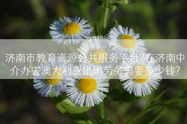 济南市教育资源公共服务平台?在济南中介办去澳大利亚出国劳务需要多少钱?