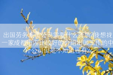出国劳务派遣公司需要什么资质?我想找一家成都市内比较好的介绍出国工作的中介公司但是不知道哪有?
