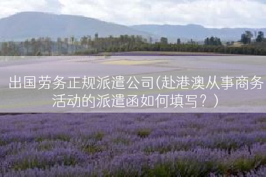 出国劳务正规派遣公司(赴港澳从事商务活动的派遣函如何填写？)