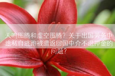 天鸣图腾和虚空图腾？关于出国劳务中途私自逃跑被遣返回国中介不退押金的问题？
