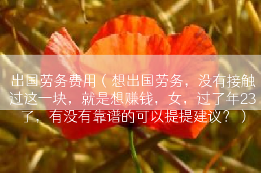 出国劳务费用（想出国劳务，没有接触过这一块，就是想赚钱，女，过了年23了，有没有靠谱的可以提提建议？）