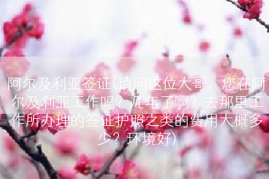 阿尔及利亚签证(请问这位大哥，您在阿尔及利亚工作吗？几年了啊？去那里工作所办理的签证护照之类的费用大概多少？环境好)