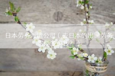 日本劳务派遣公司（去日本的出国劳务费要多少钱？）