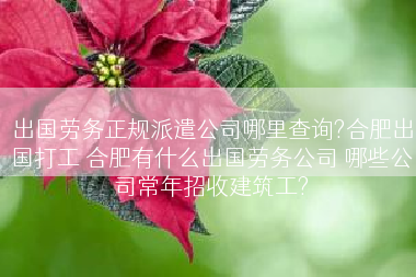 出国劳务正规派遣公司哪里查询?合肥出国打工 合肥有什么出国劳务公司 哪些公司常年招收建筑工?