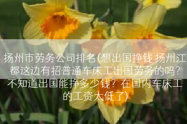 扬州市劳务公司排名(想出国挣钱 扬州江都这边有招普通车床工出国劳务的吗？不知道出国能挣多少钱？在国内车床工的工资太低了)