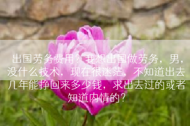 出国劳务费用？我想出国做劳务，男，没什么技术，现在很迷茫，不知道出去几年能挣回来多少钱，求出去过的或者知道内情的？