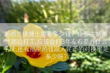 新西兰读博士需要多少钱？我要去新西兰那边打工,应该会打3年左右要办什么手续,还有那里的钱跟人民币的对换率是多少呀？
