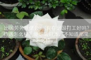 出国劳务派遣公司(现在出国打工好吗？待遇怎么样？我想去日本，不知道那里怎么样。)