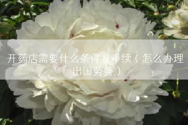 开药店需要什么条件及手续（怎么办理出国劳务）