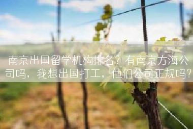 南京出国留学机构排名？有南京方海公司吗，我想出国打工，他们公司正规吗？