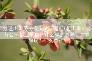 办理出国劳务没有实际履行(想出国，劳务公司都应该具备什么样的资质，才算正规啊？怎么查询？)