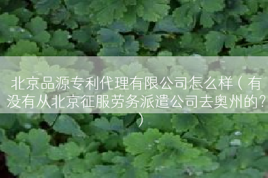 北京品源专利代理有限公司怎么样（有没有从北京征服劳务派遣公司去奥州的？）