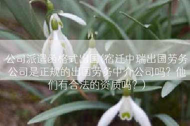 公司派遣函格式出国(宿迁中瑞出国劳务公司是正规的出国劳务中介公司吗？他们有合法的资质吗？)