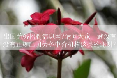 出国劳务招聘信息网?请问大家，武汉有没有正规出国劳务中介机构这类的谢谢?