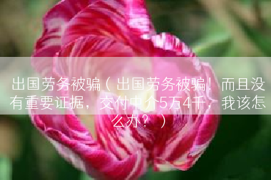 出国劳务被骗（出国劳务被骗！而且没有重要证据，交付中介5万4千，我该怎么办？）
