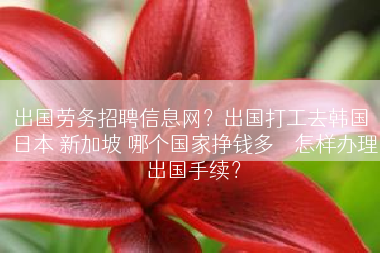 出国劳务招聘信息网？出国打工去韩国 日本 新加坡 哪个国家挣钱多    怎样办理出国手续？