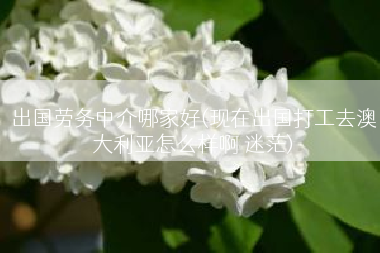 出国劳务中介哪家好(现在出国打工去澳大利亚怎么样啊 迷茫)