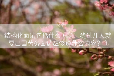 结构化面试包括什么（急，我过几天就要出国劳务面试应该说什么内容？）