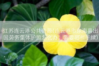 江苏连云港公共资源(连云港市东海县出国劳务集体护照怎么办，需要哪些手续)