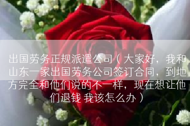 出国劳务正规派遣公司（大家好，我和山东一家出国劳务公司签订合同，到地方完全和他们说的不一样，现在想让他们退钱 我该怎么办）