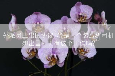 外派员工出国协议?我是一个装载机司机想出国打工有这个工作吗?