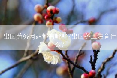 出国劳务网站都有哪些?出国务工注意什么?