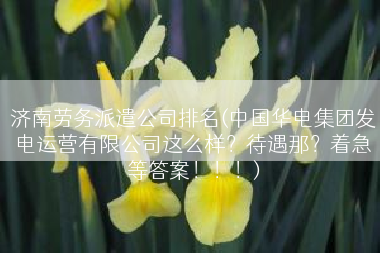济南劳务派遣公司排名(中国华电集团发电运营有限公司这么样？待遇那？着急等答案！！！)