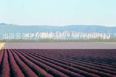 出国劳务中介哪家正规？烟台 出国打工？