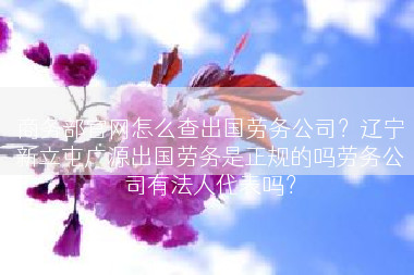 商务部官网怎么查出国劳务公司？辽宁新立屯广源出国劳务是正规的吗劳务公司有法人代表吗？