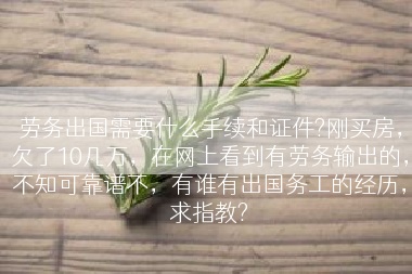 劳务出国需要什么手续和证件?刚买房，欠了10几万，在网上看到有劳务输出的，不知可靠谱不，有谁有出国务工的经历，求指教?