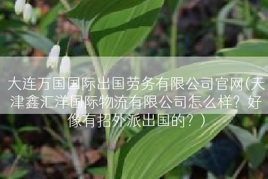 大连万国国际出国劳务有限公司官网(天津鑫汇洋国际物流有限公司怎么样？好像有招外派出国的？)