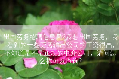 出国劳务招聘信息网?我想出国劳务，我看到的一些劳务输出公司的工资很高，不知道是不是正规的中介公司，请问怎么样可以查询?