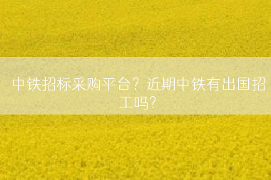 中铁招标采购平台？近期中铁有出国招工吗？