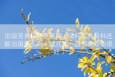 出国劳务招聘信息网（请问我有前科还能出国劳务吗，这几年一直都表现的很好）