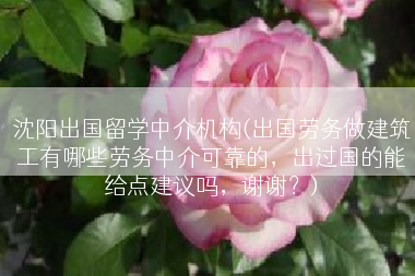 沈阳出国留学中介机构(出国劳务做建筑工有哪些劳务中介可靠的，出过国的能给点建议吗，谢谢？)