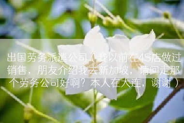 出国劳务派遣公司（我以前在4S店做过销售，朋友介绍我去新加坡，请问走那个劳务公司好啊？本人在大连，谢谢）