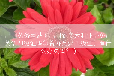 出国劳务网站（出国到奥大利亚劳务用英语四级证吗急着办英语四级证。有什么办法吗？）