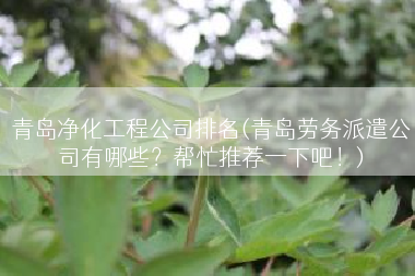 青岛净化工程公司排名(青岛劳务派遣公司有哪些？帮忙推荐一下吧！)