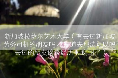 新加坡拉萨尔艺术大学（有去过新加坡劳务司机的朋友吗 不知道去那边可以吗 去过的朋友谈谈经历呗 谢谢了）