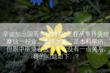 辛迪加出国劳务招聘?我正在从事针灸按摩这一行业，半路出家，是本科学历，但跟中医或者医学专业没有一点关系，我的问题如下：?