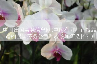 中国出国劳务信息网(中国有哪些正规靠谱的出国劳务公司？应该如何选择？)