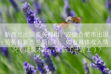 新西兰出国劳务费用？安徽合肥市出国劳务有新西兰项目吗，如有具体收入情况（建筑木工、钢筋工、泥工）？