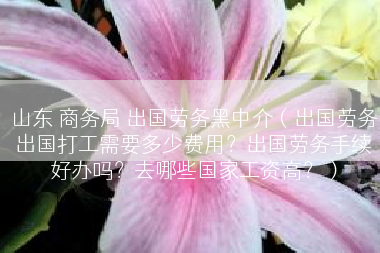 山东 商务局 出国劳务黑中介（出国劳务出国打工需要多少费用？出国劳务手续好办吗？去哪些国家工资高？）